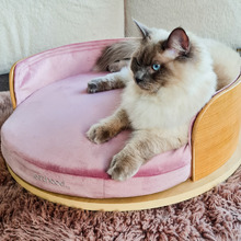Rumi Velvet Pet Bed